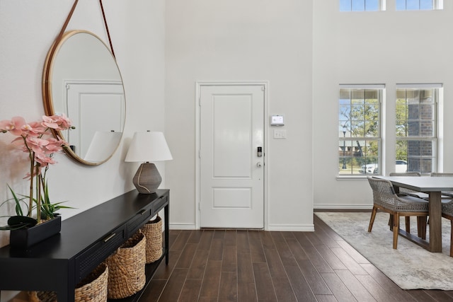 entryway featuring a high ceiling and dark hardwood / wood-style floors