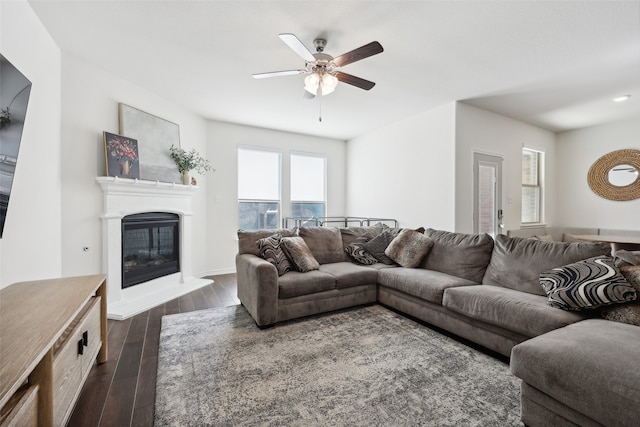 living room with ceiling fan and dark hardwood / wood-style flooring