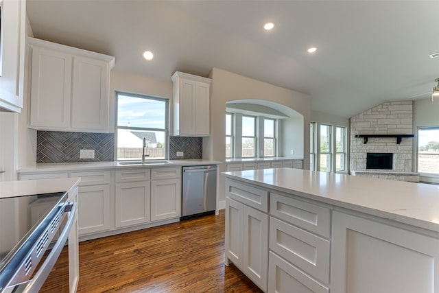 kitchen with appliances with stainless steel finishes, dark hardwood / wood-style flooring, plenty of natural light, and lofted ceiling