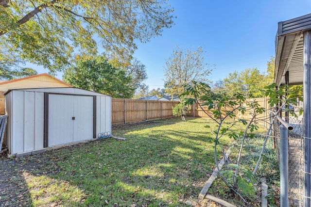 view of yard featuring a shed