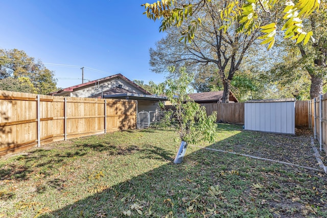 view of yard featuring a shed