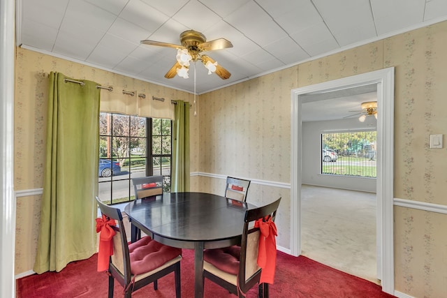 dining area with carpet floors, ceiling fan, and crown molding