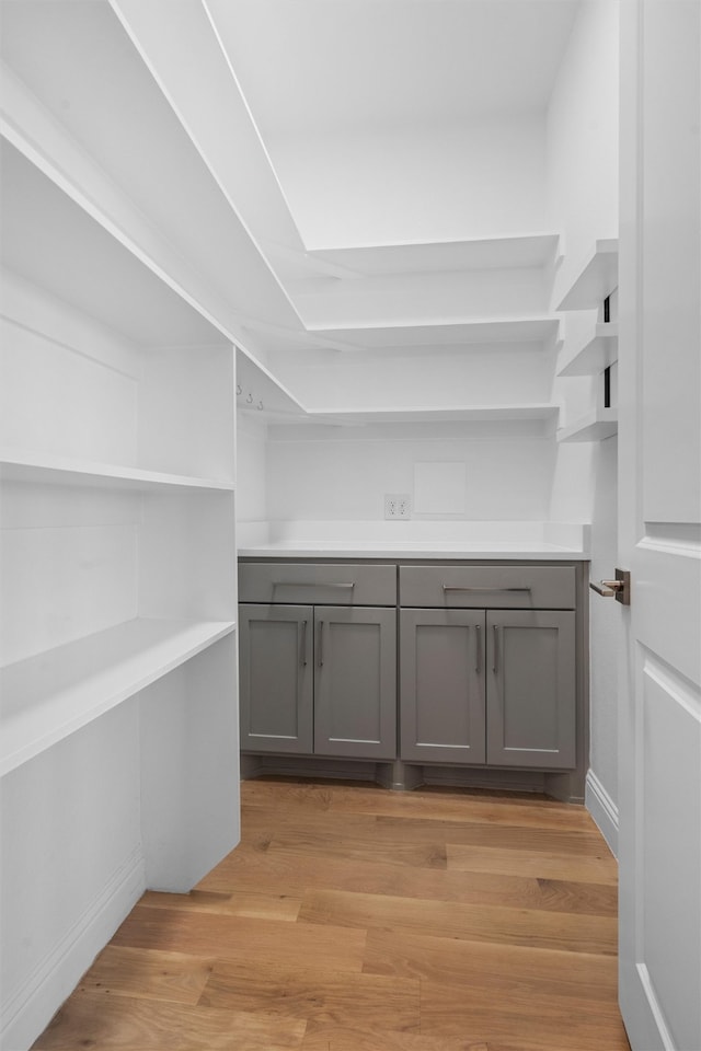 walk in closet featuring light hardwood / wood-style floors