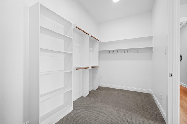 walk in closet with carpet floors