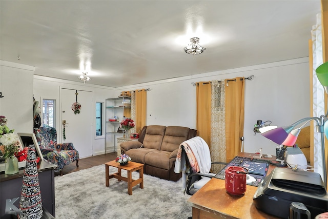 living room with wood-type flooring