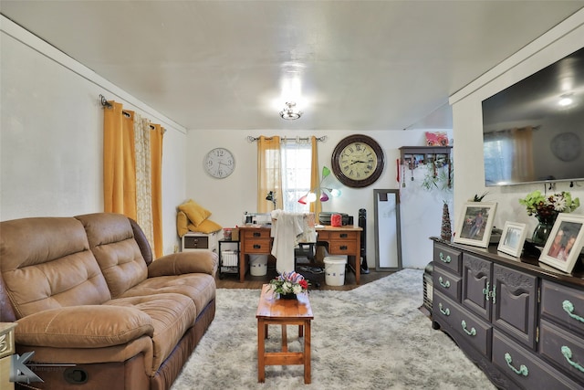 living room featuring wood-type flooring