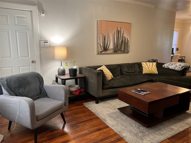 living room featuring crown molding and dark wood-type flooring