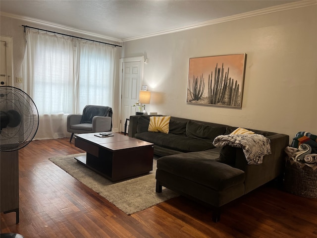 living room featuring crown molding and dark hardwood / wood-style flooring