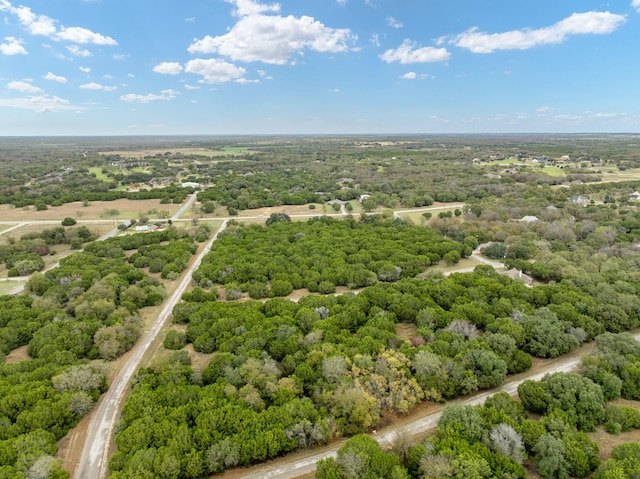 18088 Forrest Dr, Whitney, TX 76692