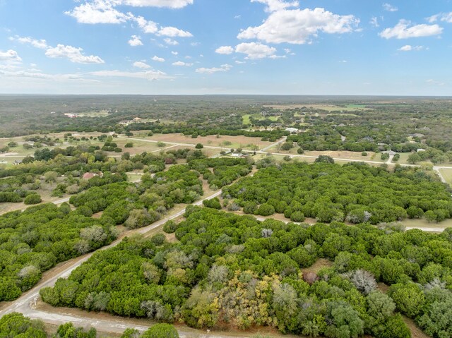 18088 Forrest Dr, Whitney, TX 76692