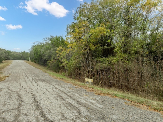 18088 Forrest Dr, Whitney, TX 76692