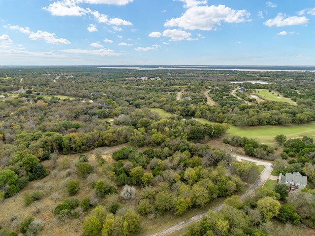 39081 Springwillow Ct, Whitney, TX 76692