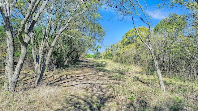 42AC County Road 4620, Trenton TX, 75490 land for sale