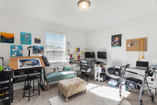 office featuring carpet floors