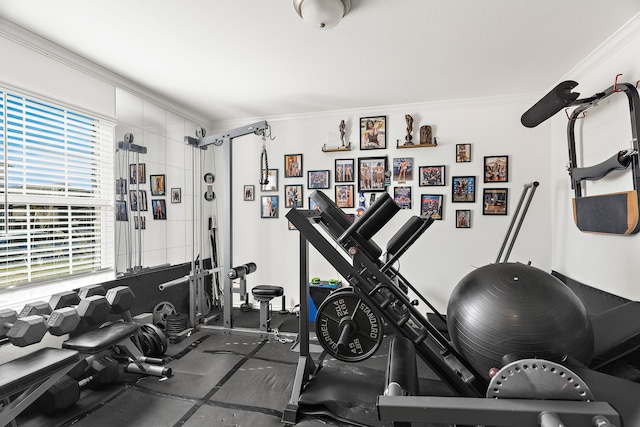 workout room with crown molding and a wealth of natural light