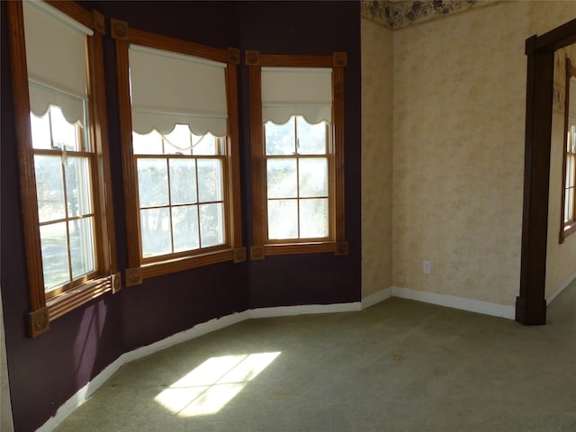 spare room featuring carpet flooring