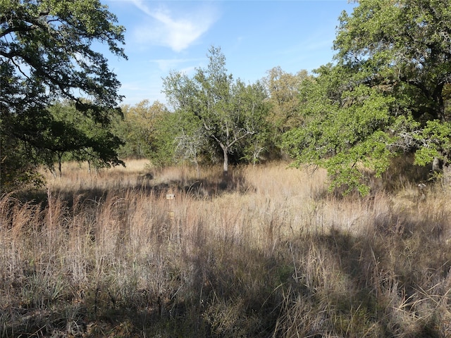 view of landscape