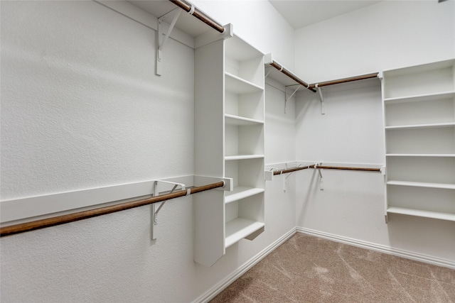 spacious closet featuring carpet flooring