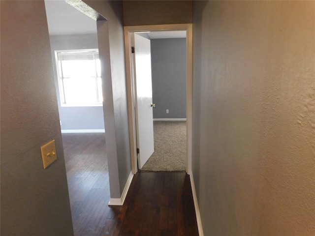 hall with dark hardwood / wood-style flooring