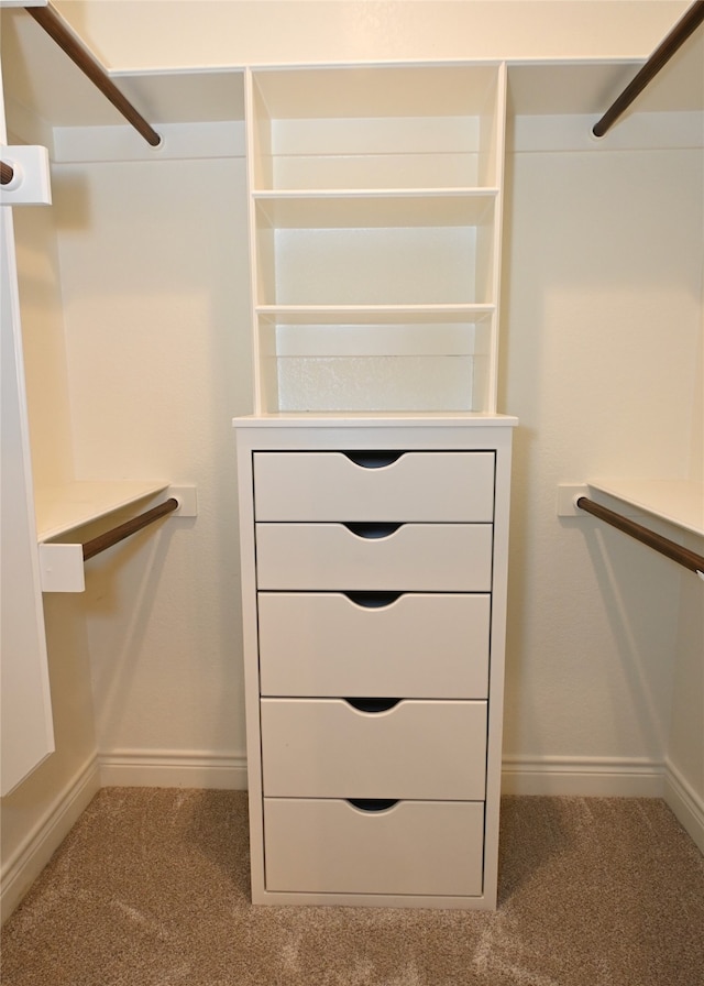 walk in closet featuring carpet flooring