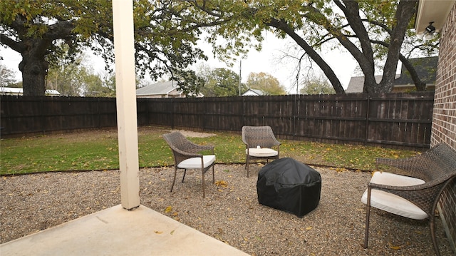 view of yard featuring a patio area