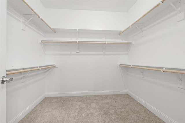 walk in closet with light colored carpet