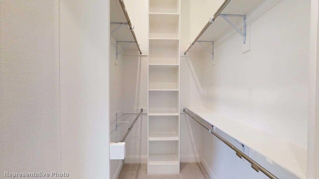 view of walk in closet