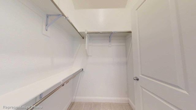 spacious closet featuring light carpet