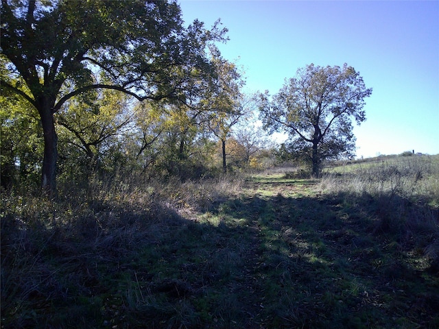 TR6 W Rc, Bowie TX, 76230 land for sale