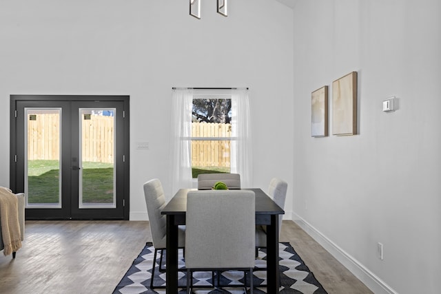 dining room featuring a high ceiling, a healthy amount of sunlight, and dark hardwood / wood-style floors