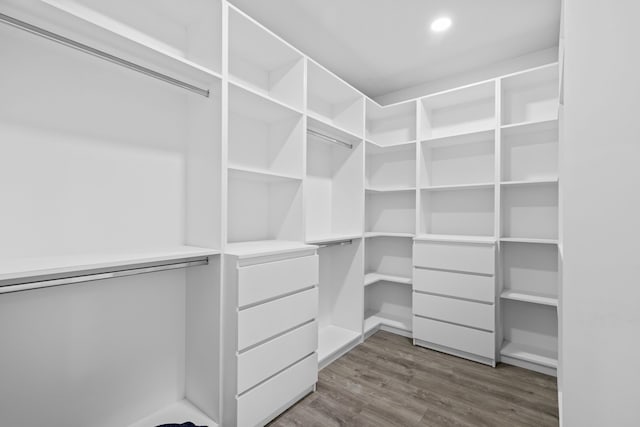 spacious closet with wood-type flooring