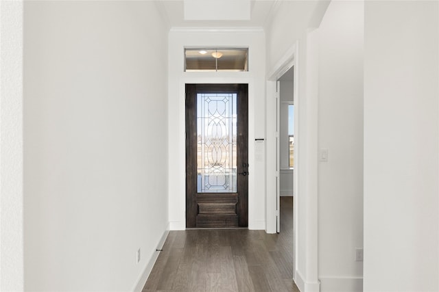 entryway featuring dark hardwood / wood-style flooring and ornamental molding