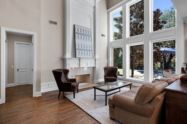 living room featuring dark hardwood / wood-style floors and a high ceiling