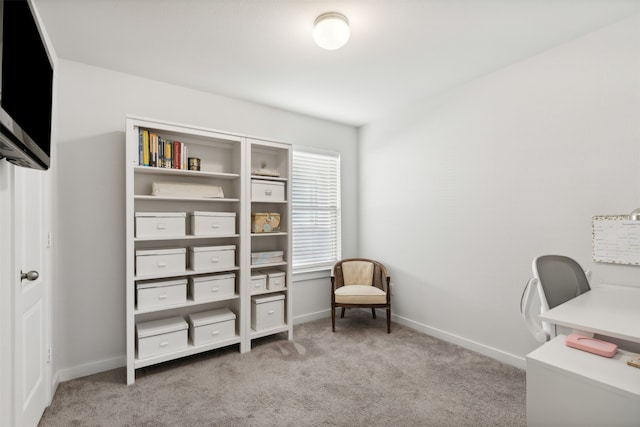 office area featuring light carpet