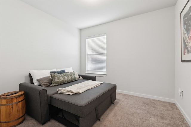 bedroom with light carpet