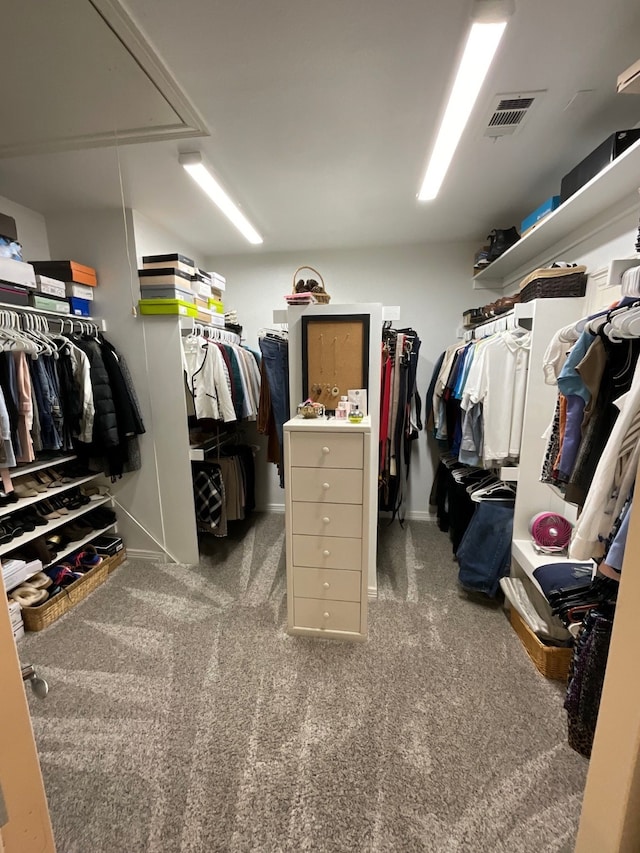 spacious closet featuring carpet floors