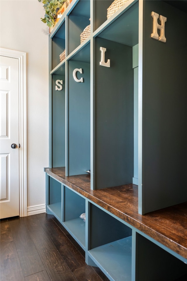 mudroom with dark wood-type flooring