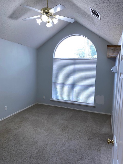 spare room featuring carpet, ceiling fan, lofted ceiling, and a textured ceiling