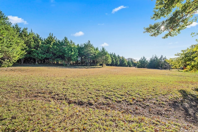 view of yard featuring a rural view