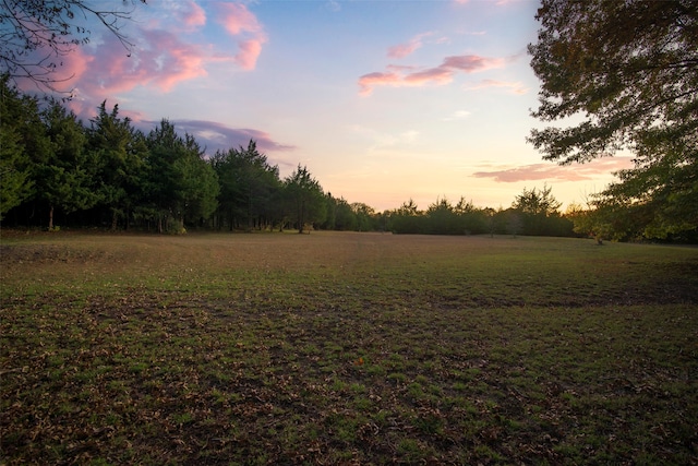 view of yard at dusk