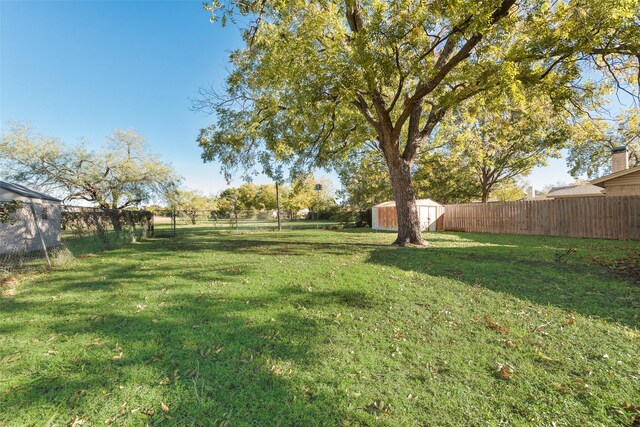 view of yard with a shed