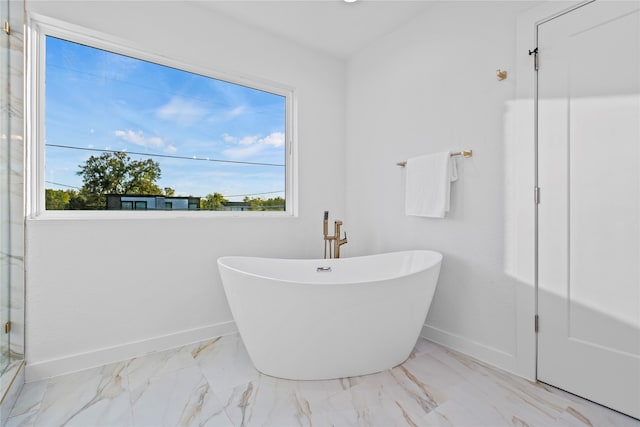 bathroom with a healthy amount of sunlight and a washtub