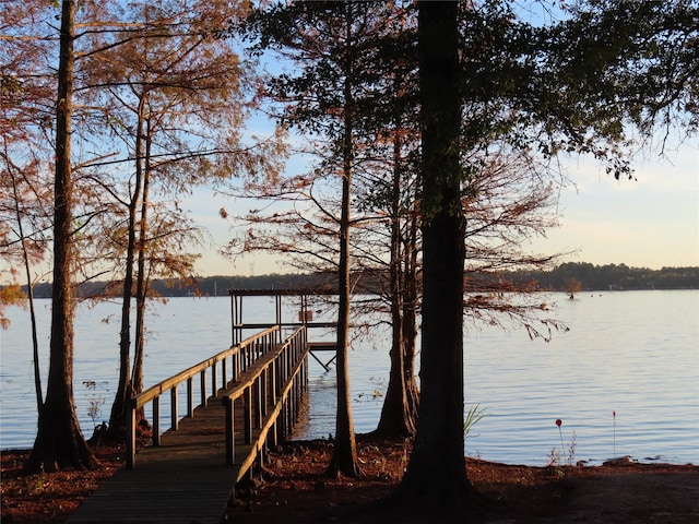 dock area with a water view