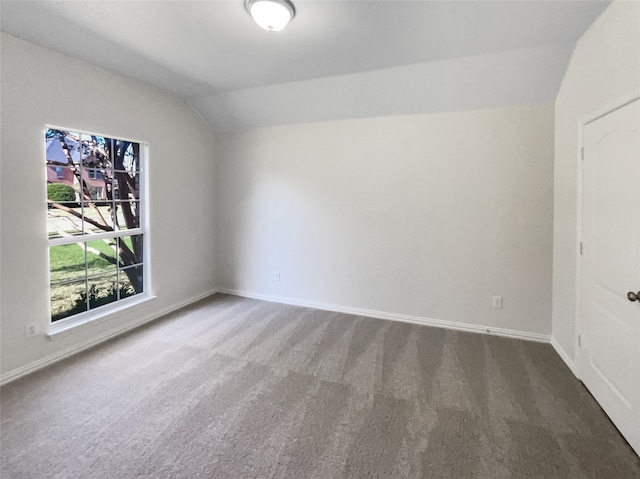 interior space with dark colored carpet and lofted ceiling