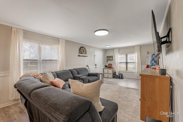 living room featuring a healthy amount of sunlight and light hardwood / wood-style flooring