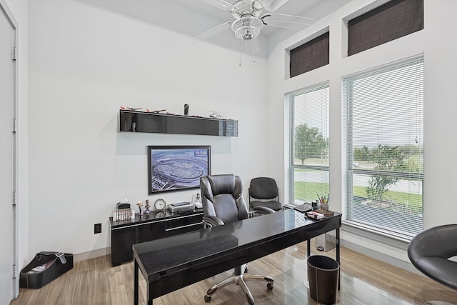 office space with ceiling fan and light hardwood / wood-style flooring