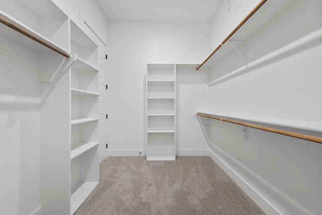 spacious closet featuring light colored carpet