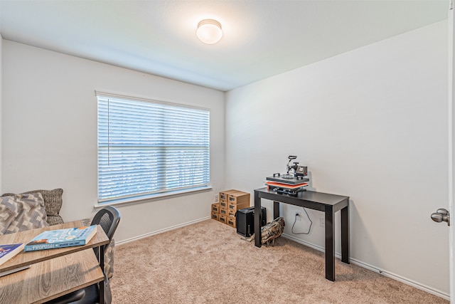 office space with light colored carpet