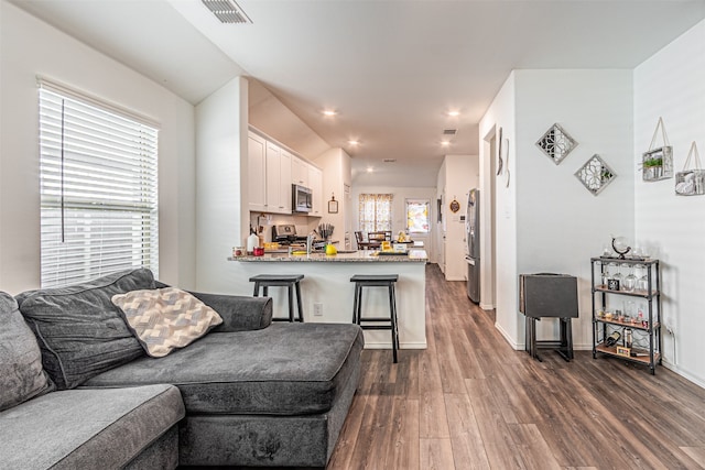 living room with dark hardwood / wood-style floors