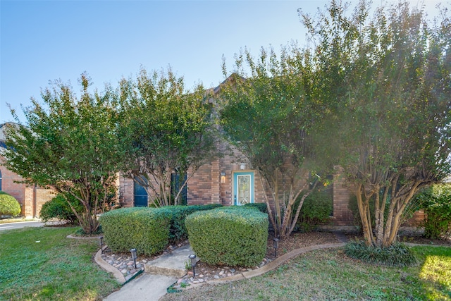 view of front of property featuring a front lawn